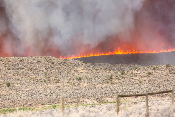 Tulilinja ja tiheä harmaa savu suuresta kulovalkeasta aavikon osittain palaneen alueen yllä - Valokuva, kuva