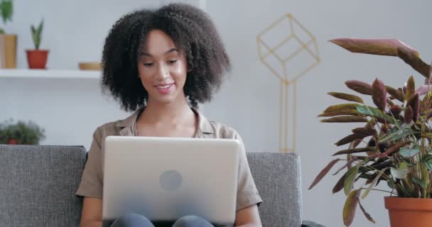 Chica afroamericana se sienta en casa en la sala de cuarentena, se comunica con amigos de forma remota en línea en las redes sociales en la conferencia. Mujer freelancer sentada en sofá sosteniendo laptop, respondiendo videollamada - Imágenes, Vídeo