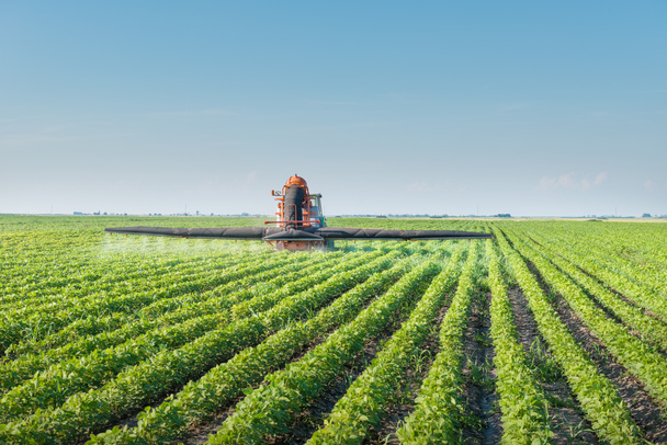 tractor spraying pesticides - Photo, Image