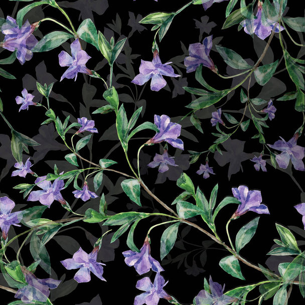 Seamless pattern watercolor flowers periwinkle on black background. Beautiful pattern for decoration and design. Trendy print. Exquisite pattern for fabric. - Foto, imagen