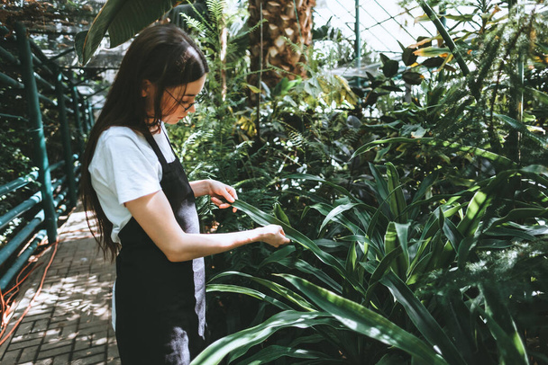 Young woman gardener in glasses and apron working in a garden center. Environmentalist touching plants leaves in greenhouse. High quality photo - Photo, Image