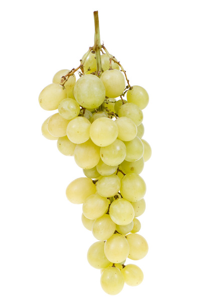 Grape clusters - Foto, afbeelding