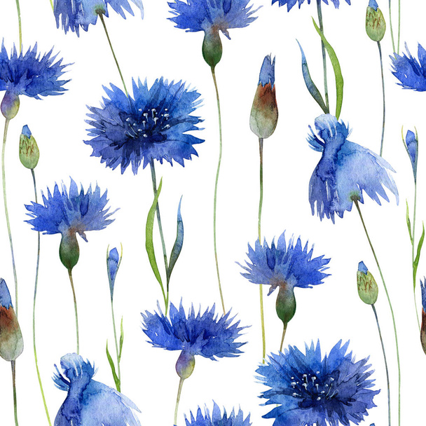 Watercolor bright seamless pattern with blue cornflowers - Photo, Image