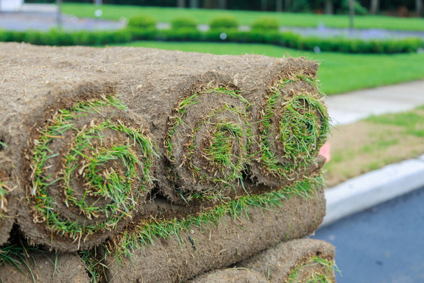 Gardener installing natural grass turf installer beautiful rolled sod lawn field. - Photo, Image