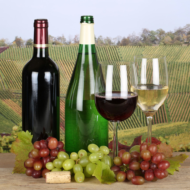 Frischer Wein in den Weinbergen - Foto, Bild