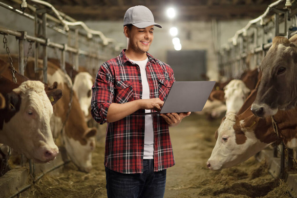 Male farmer working on a laptop computer inside a cowshed - Foto, afbeelding