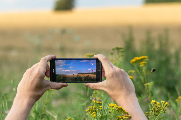 両手でスマートフォンを水平に持ち、夏の小麦や花のフィールドの写真を撮る夏の日当たりの良い自然景観 - 写真・画像