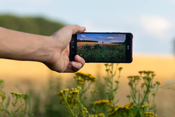 Vasen käsi pitää älypuhelinta vaakasuorassa ja ottaa kuvia kesävehnästä ja kukista hämärtynyt kenttä kesä aurinkoinen luonto maisema - Valokuva, kuva