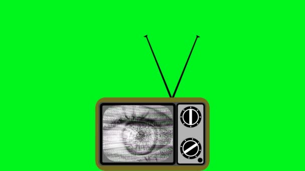 Oog met computer binaire code op een retro TV scherm op een groene achtergrond voor compositie, uitgesneden, groen scherm. Computer, massale bewaking, opdringerige technologie, gezichtsherkenning, gegevensbeveiliging - Video