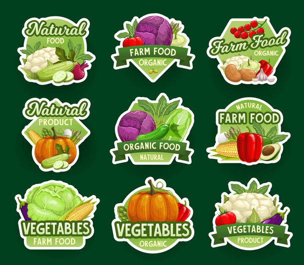Granja iconos vegetales naturales y pegatinas, mercado de verduras de alimentos de granja de vectores. Verduras y alimentos ecológicos verdes coliflor y col de brócoli, ajo, calabaza y maíz, calabaza de calabacín y aguacate - Vector, imagen