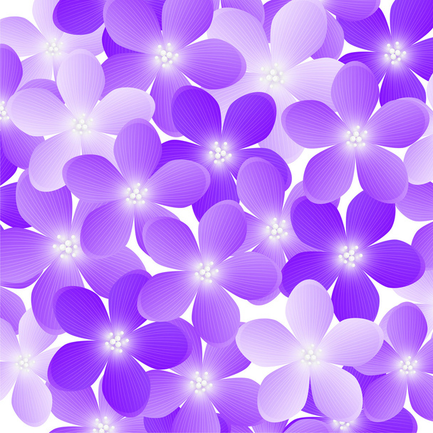 flores púrpuras - Vector, imagen