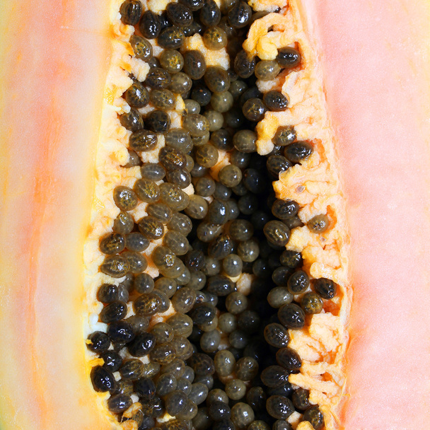 Papaya closeup. Background - Photo, Image