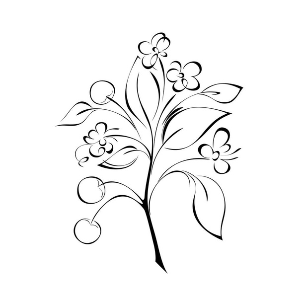 one sprig with small flowers, leaves and berries in black lines on white background - ベクター画像