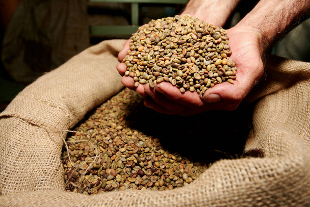itabela, bahia / brasil - 23 de abril de 2010: processamento de grãos de café para exportação é visto na cidade de Itabela. - Foto, Imagem