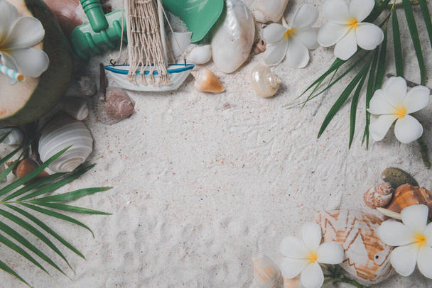 Κοχύλια και λουλούδια plumeria σε φόντο άμμου, αντιγραφή χώρου για εισαγωγή κειμένου και ταξίδια για την καλοκαιρινή περίοδο έννοια - Φωτογραφία, εικόνα