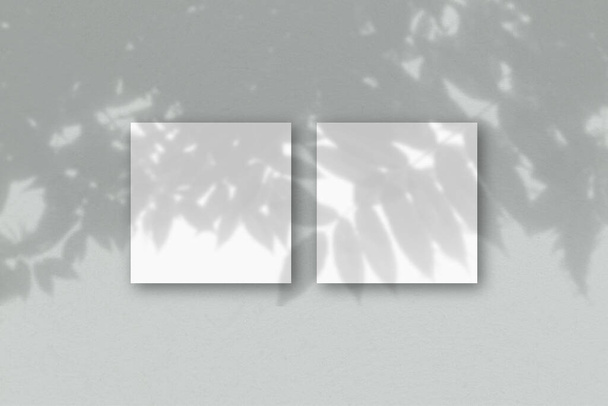 2 fogli quadrati di carta bianca strutturata sullo sfondo della parete grigia. Il Mockup si sovrappone alle ombre delle piante. La luce naturale proietta ombre da una pianta esotica.Posa piatta, vista dall'alto. Orientamento orizzontale - Foto, immagini