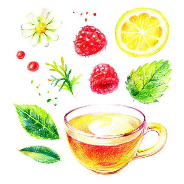 Akvarell színű ceruza kézzel rajzolt gyógynövény tea illusztráció készlet. Festett vázlat elszigetelt fehér háttér - Vektor, kép