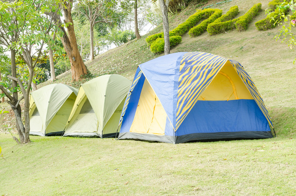 Палатки для палаток в лесу - Фото, изображение
