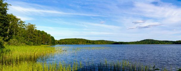 panoramatický výhled na jezero Gissen s rovinatou pobřežní zónou porostlou rákosím, Švédsko - Fotografie, Obrázek