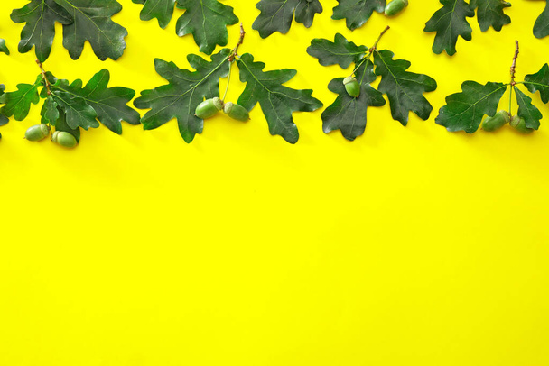 Green oak leaves on color background - Photo, Image