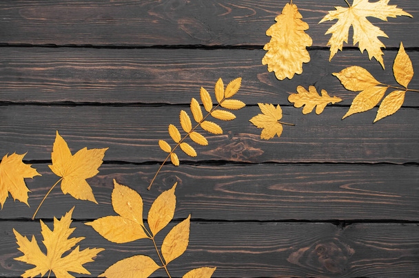 暗い木製の背景の上のビューのコピースペースに黄金の葉。秋のコンセプト。秋の背景。ミニマルなコンセプト、花のデザイン。創造的な秋の組成。ヴィンテージスタイル. - 写真・画像