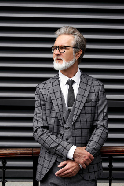 portrait of serious and authoritative senior businessman in elegant suit - Photo, image