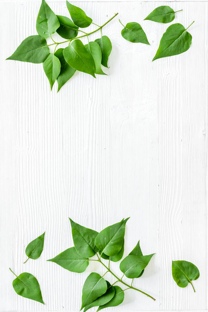Top view frame of green leaves. Nature concept layout - 写真・画像