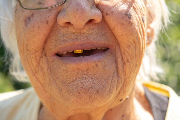 oude dame mooi gezicht en grijs haar, oudere vrouw in haar tuin, oma glimlachen close-up - Foto, afbeelding
