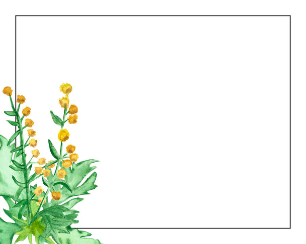 Watercolor hand painted nature herbal plant frame composition with yellow wormwood flower and leaves on green branch and border line on the white background for invite and greeting card  - Foto, Imagem