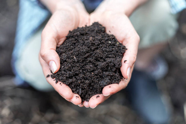 Arable soil in the hands of a farmer. Compost organic fertilizer close-up. Humus. - Photo, Image