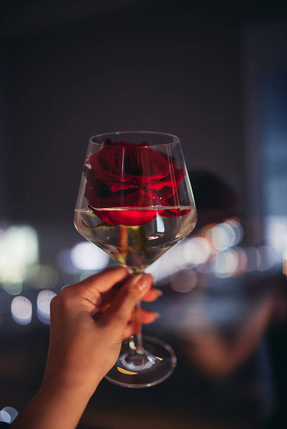  red fresh beautiful rose lies in wine glass for red wine, female hand holds against the background of night city lights - 写真・画像