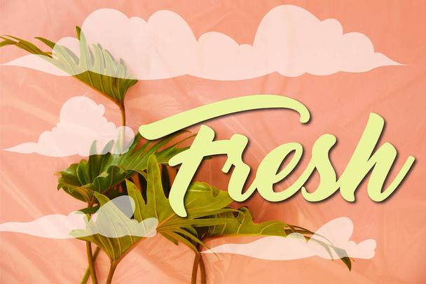 top view of fresh tropical green leaves on orange plastic background with fresh illustration - Φωτογραφία, εικόνα