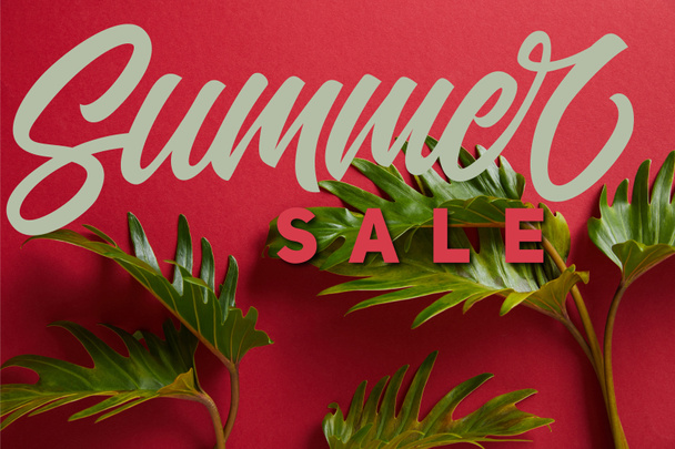 top view of tropical green leaves on red background with summer sale illustration - Фото, изображение