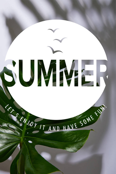 fresh tropical green leaf on white background  with summer illustration - Zdjęcie, obraz