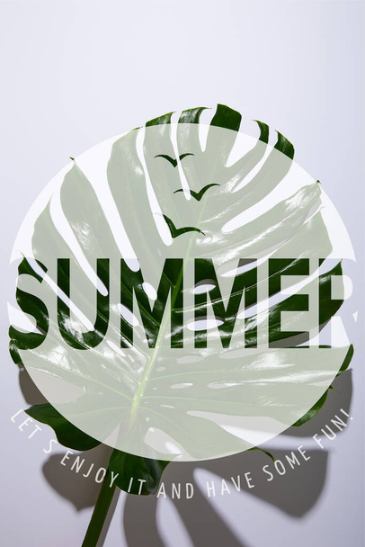 fresh tropical green leaf on white background with summer illustration - Фото, изображение