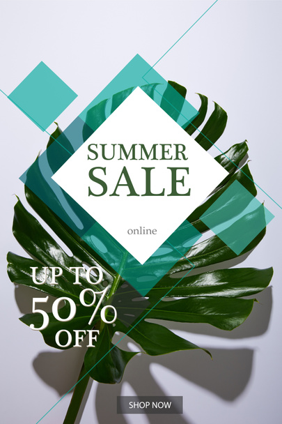 fresh tropical green leaf on white background with summer sale illustration - Foto, imagen