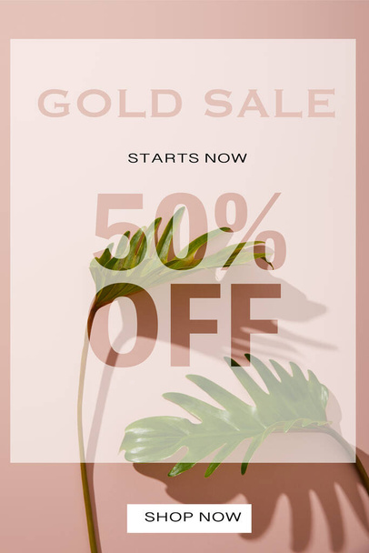 fresh tropical green leaves on pink background with gold sale illustration - Photo, Image