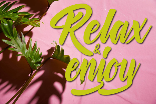 top view of fresh tropical green leaves on pink plastic background with relax and enjoy illustration - Foto, Bild