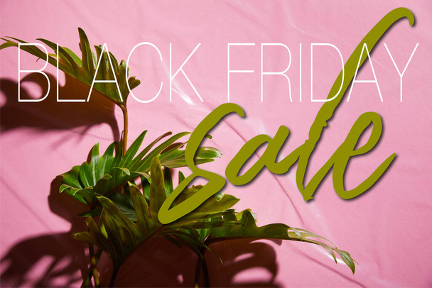 Draufsicht auf frische tropische grüne Blätter auf rosa Kunststoff-Hintergrund mit Black Friday Sale Illustration - Foto, Bild