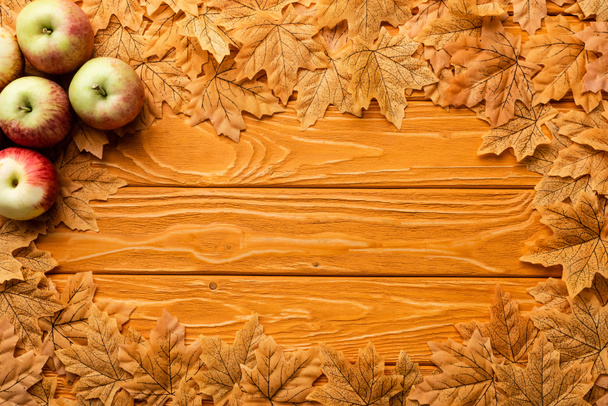 top view of ripe apples and autumnal foliage on wooden background - 写真・画像