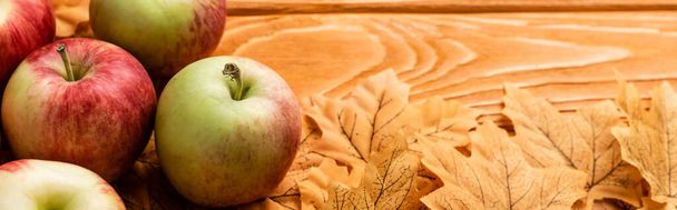 木の背景に熟したリンゴと秋の葉、パノラマショット - 写真・画像