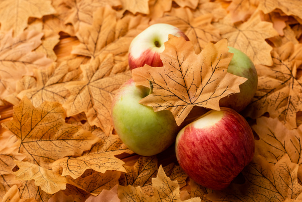 selective focus of ripe tasty apples and autumnal leaf - Foto, imagen