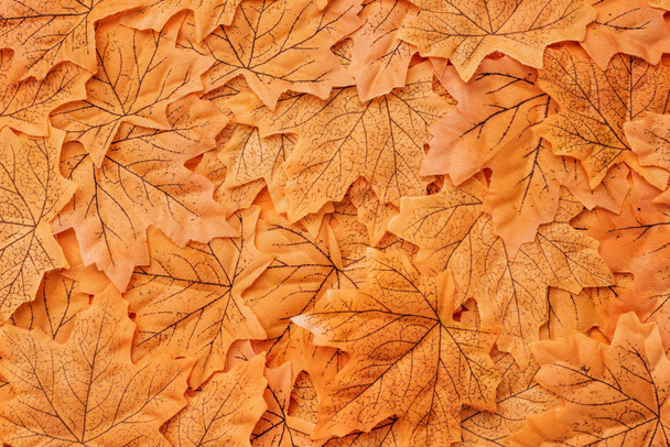 top view of golden autumnal foliage background - Foto, afbeelding