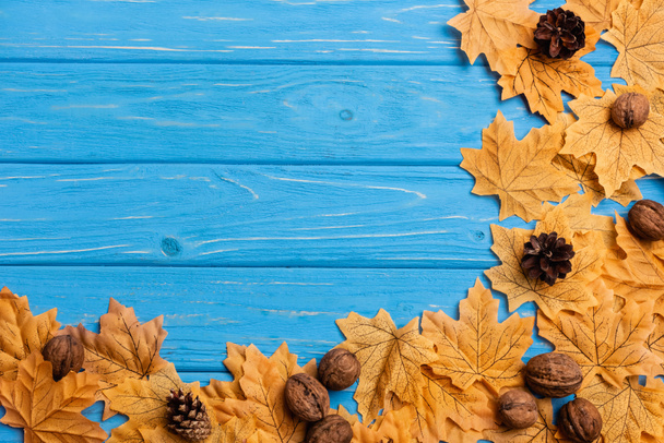 top view of autumnal foliage with nuts and cones on blue wooden background - 写真・画像