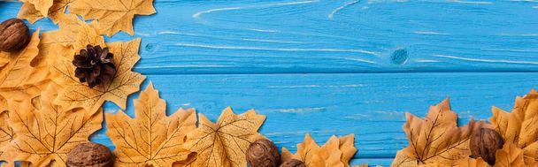 top view of autumnal foliage with nuts and cones on blue wooden background, panoramic shot - Photo, Image