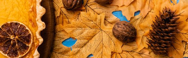 top view of pumpkin pie on autumnal foliage with walnuts and cone, panoramic shot - Fotografie, Obrázek