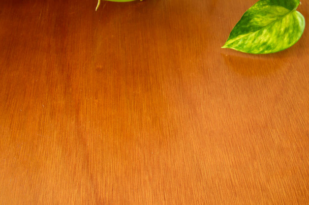 base de madera, fondo de madera, textura de madera - Foto, Bild