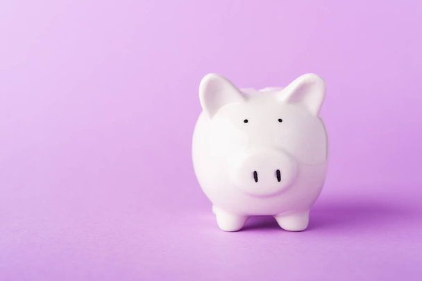 Front small white fat piggy bank, studio shot isolated on purple background and copy space for use, Finance, deposit saving money concept - Foto, Bild