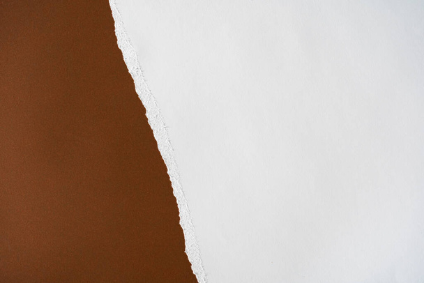 Fondo de papel rasgado marrón y blanco terroso. Tema Overhead Summer - Tonos de tierra planas. - Foto, Imagen