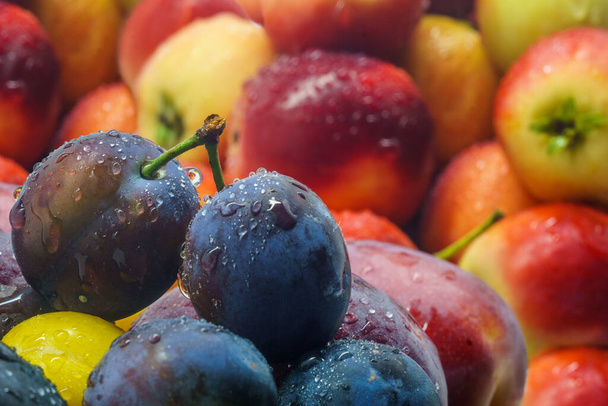 Vers fruit pruimen en appels met water druppels - Foto, afbeelding